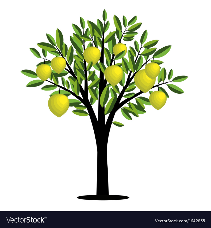 Лимонное дерево вектор