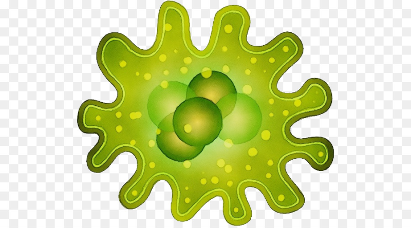 Бактерии на прозрачном фоне