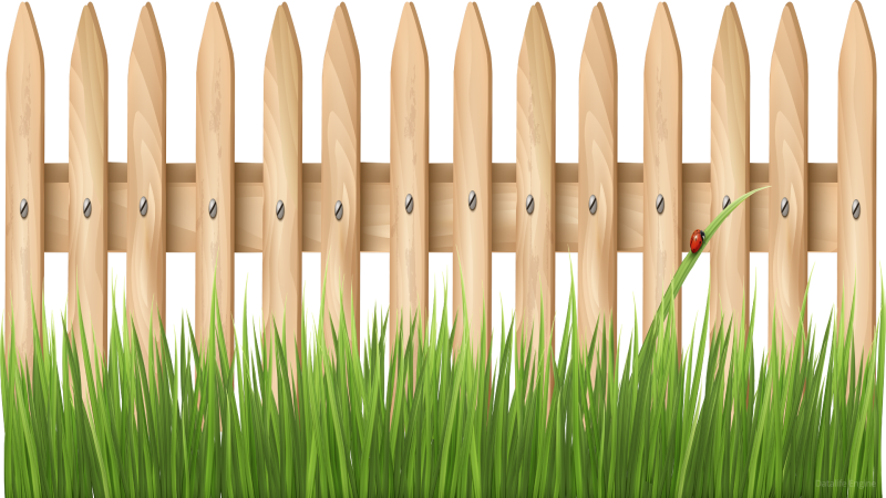 Изгородь на белом фоне