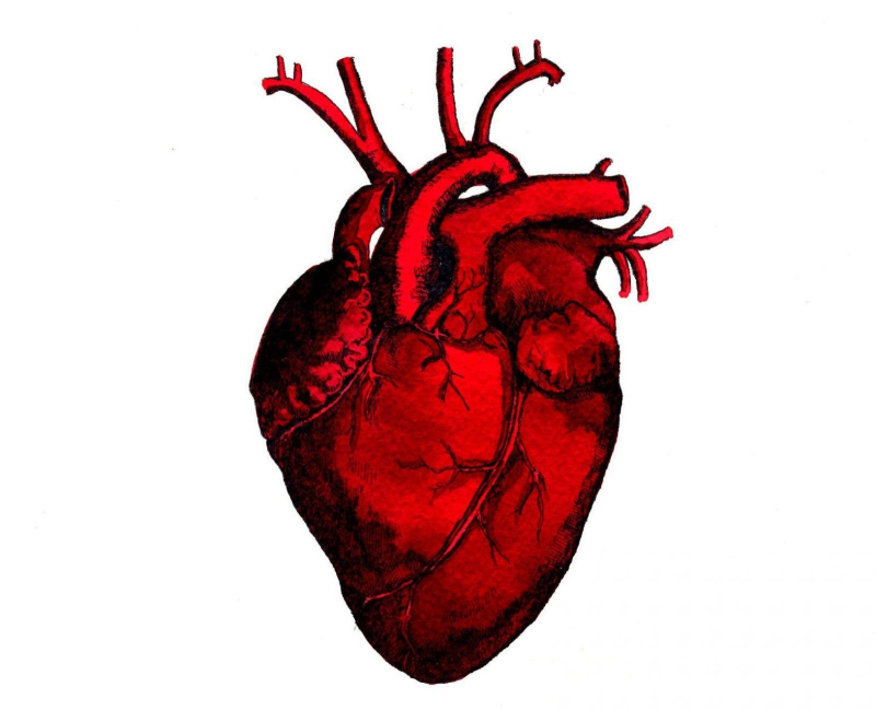 Сердце рисунок