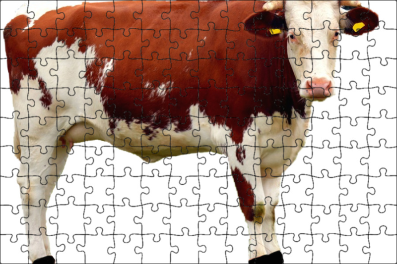 Корова без фона