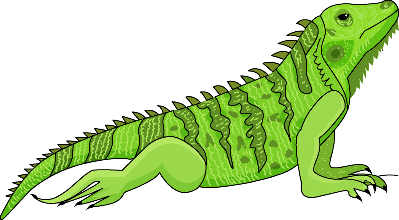 Игуана рисунок