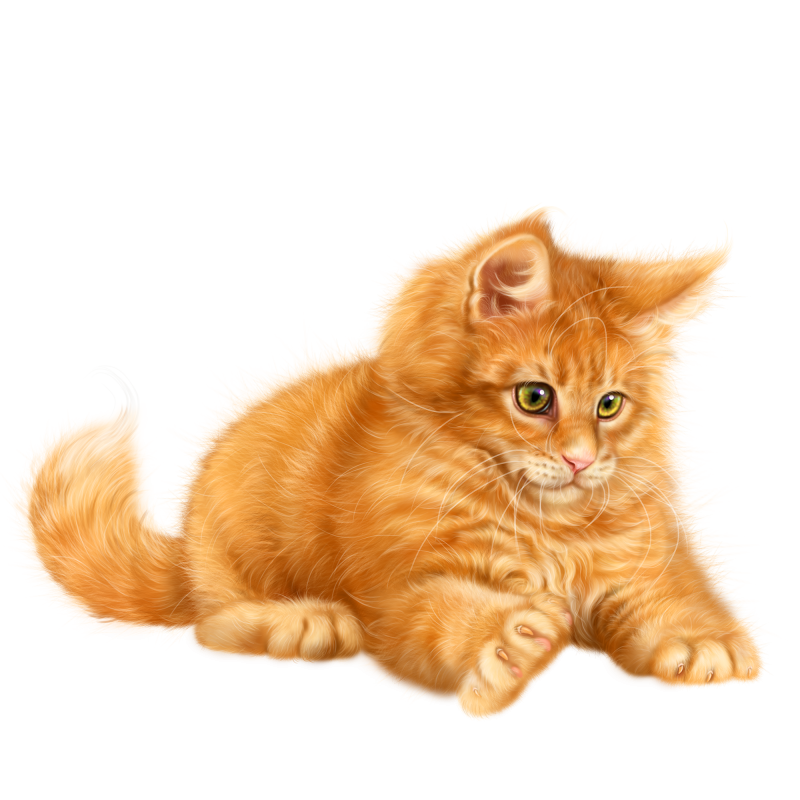 Рыжая кошка