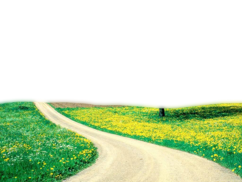 Тропинка клипарт на прозрачном фоне