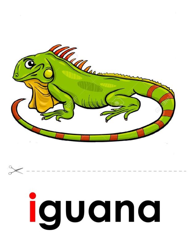 Iguana мультяшный