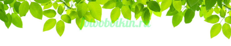 Зеленая ветка