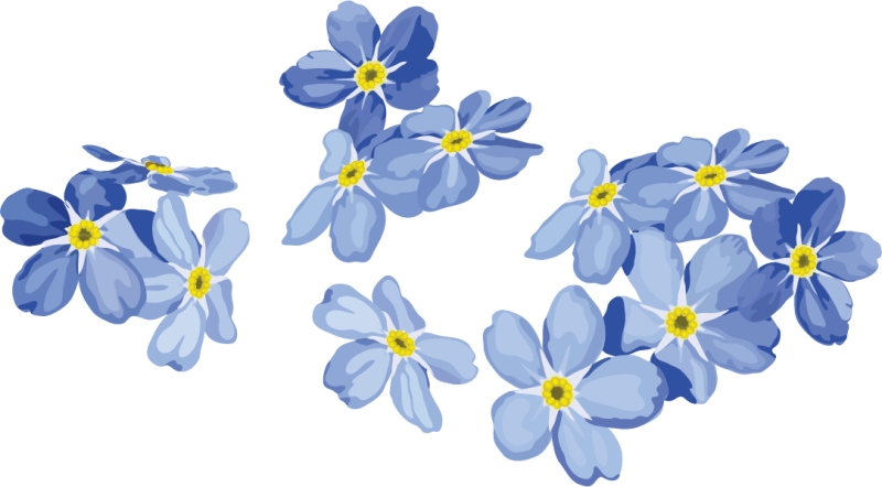 Синие цветы на прозрачном фоне