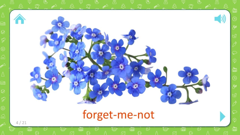 Цветочки на белом фоне