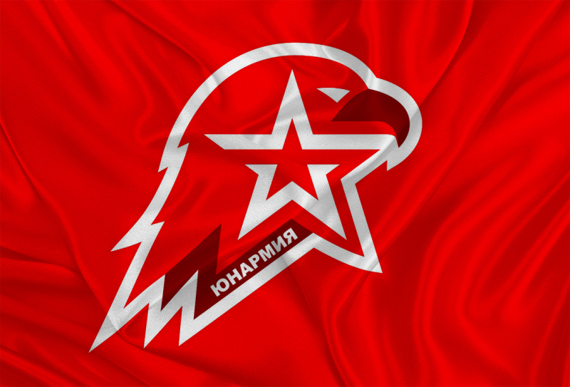 Флаг Юнармии