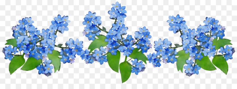 Голубые цветы на прозрачном фоне