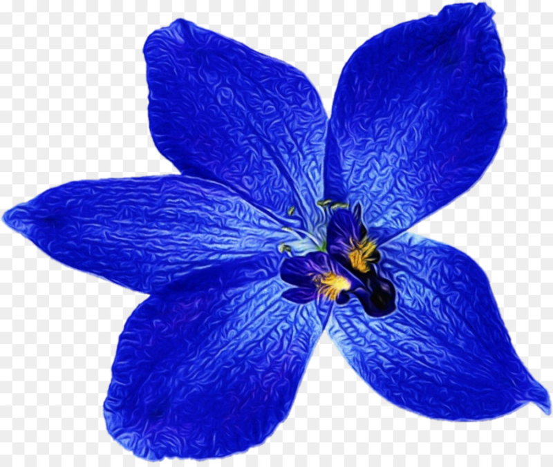 Голубые цветы на белом фоне