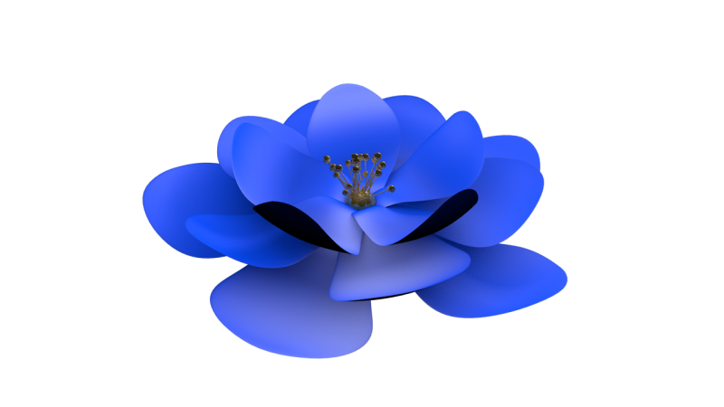 Синие цветы