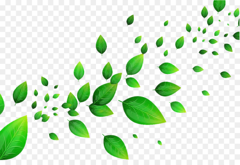 Листья вектор