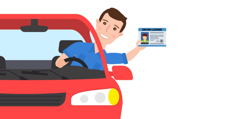 Водительские права иконка