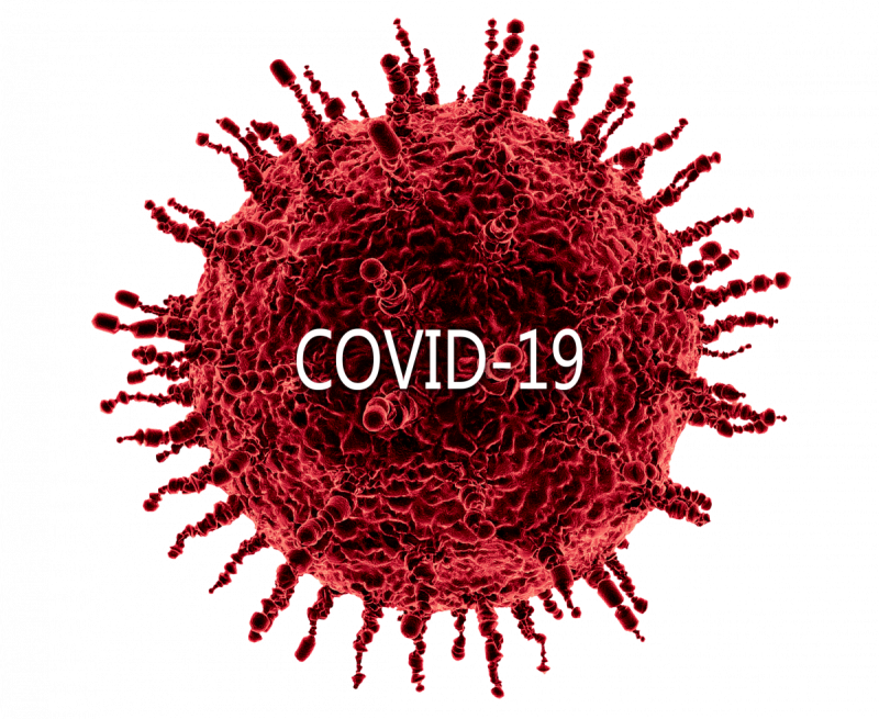 Вирус ковид 19