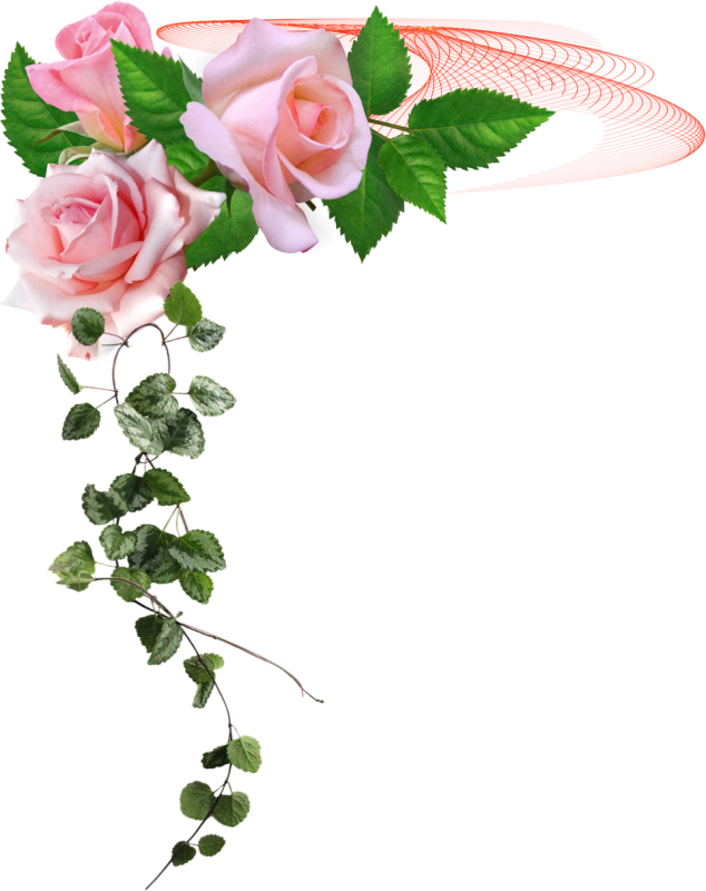 Цветочные уголки на прозрачном фоне