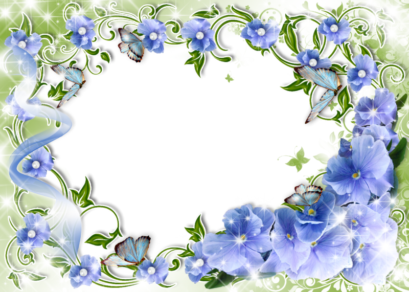 Прозрачная рамка цветы