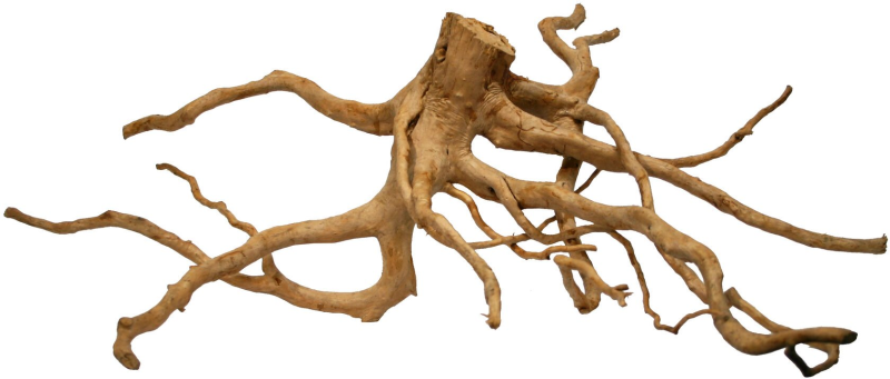 Коряга ветка