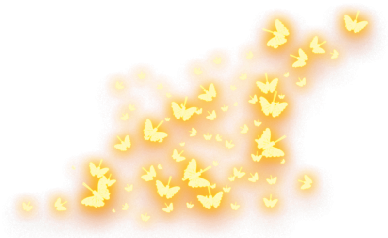 Россыпь бабочек на прозрачном фоне