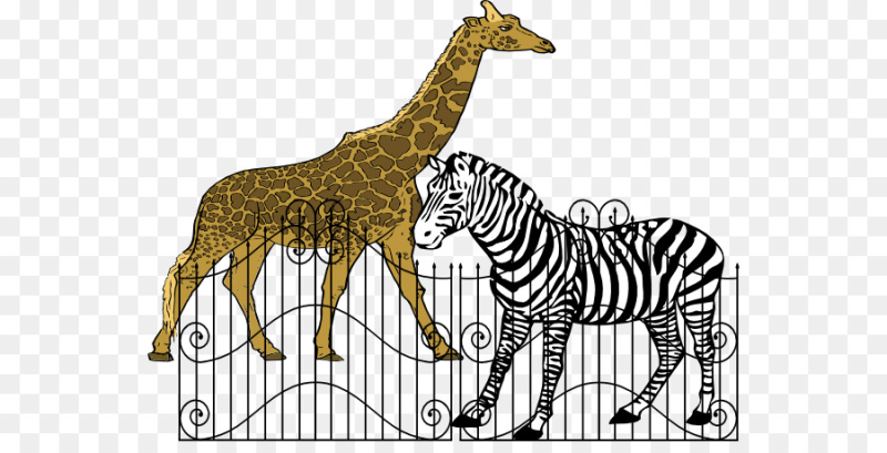 Зоопарк на белом фоне