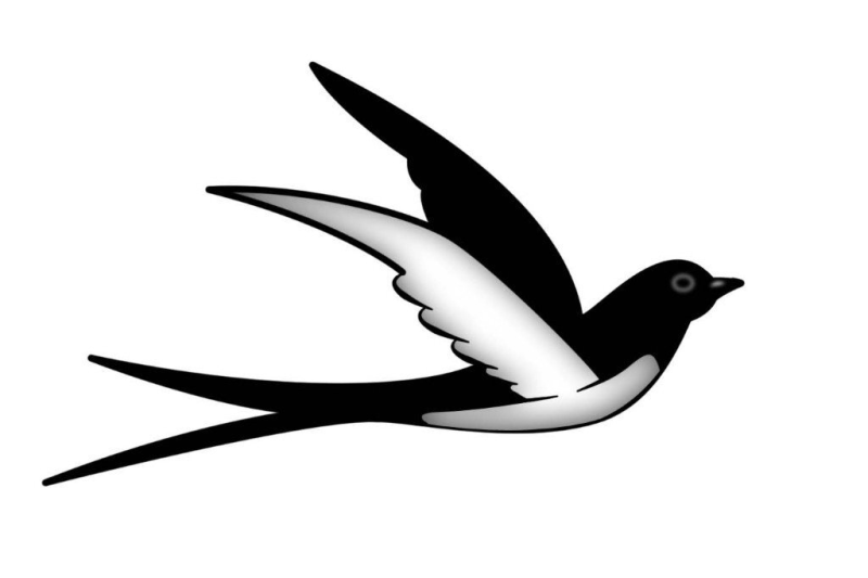 Ласточка птичка