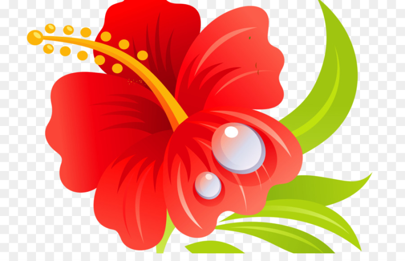 Векторные цветы