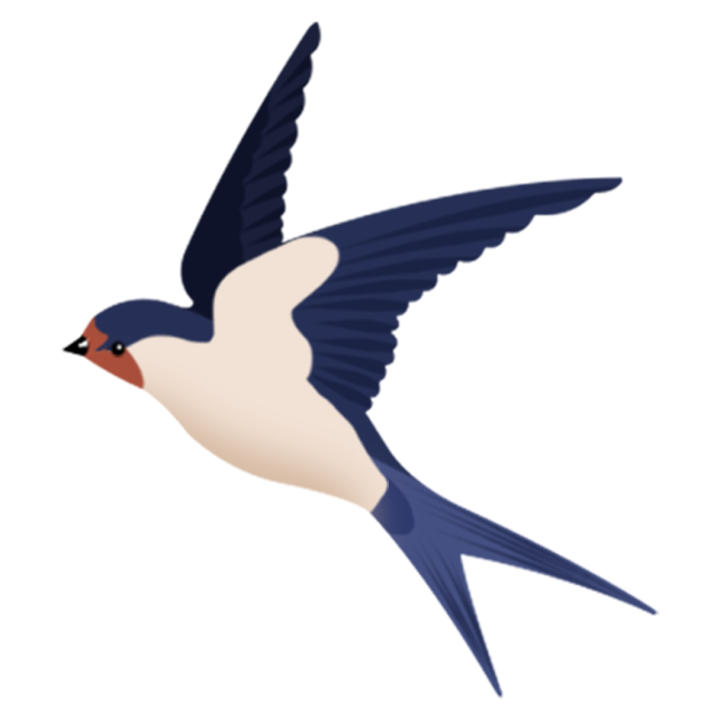 Птицы на прозрачном фоне