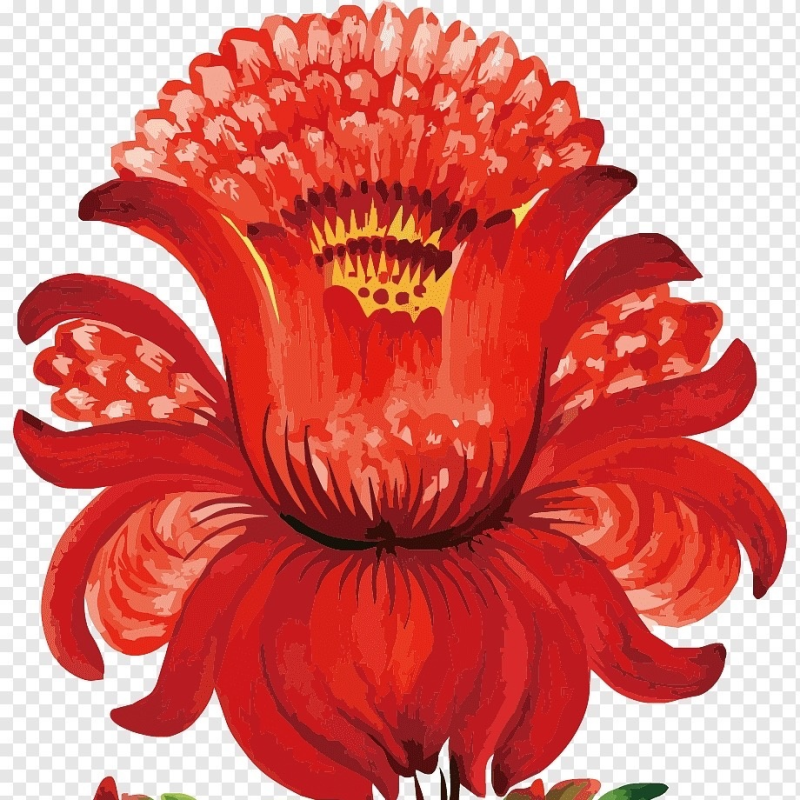 Аленький цветочек цветок