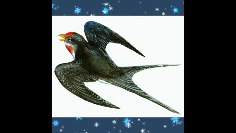 Ласточка для детей