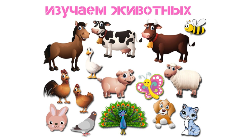 Животные на ферме для детей