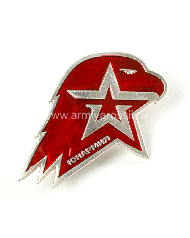 Логотип ВВПОД «Юнармия»