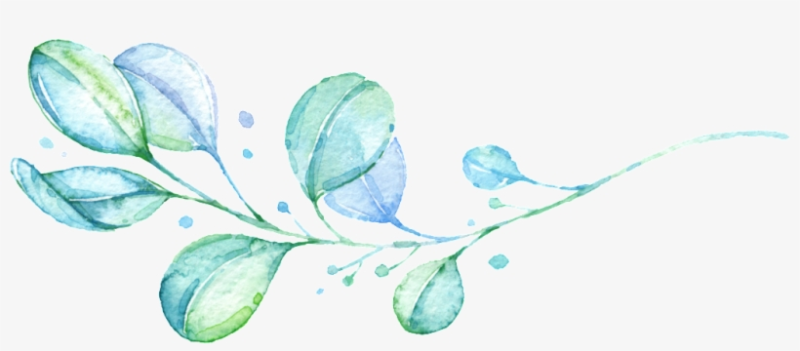 Листья акварель