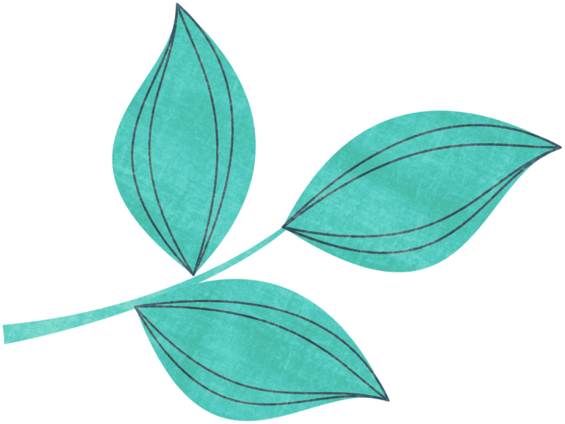 Бирюзовые листья фон