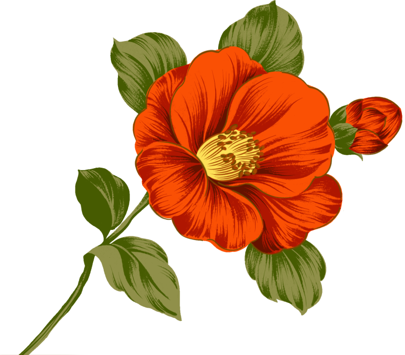 Цветы одиночные