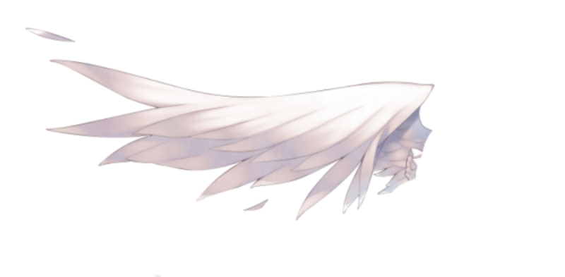 Белые Крылья без фона