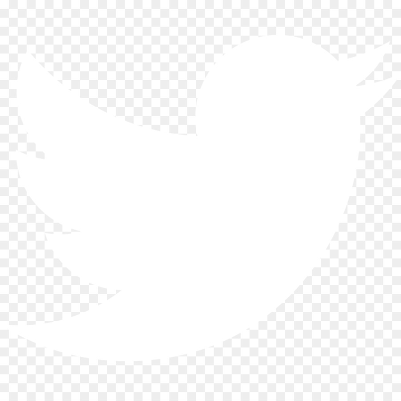 Белый значок твиттера