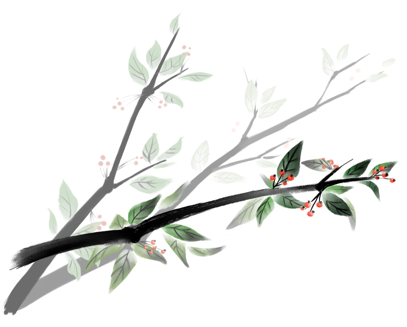 Ветка на прозрачном фоне