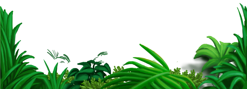 Рамка для презентации джунгли