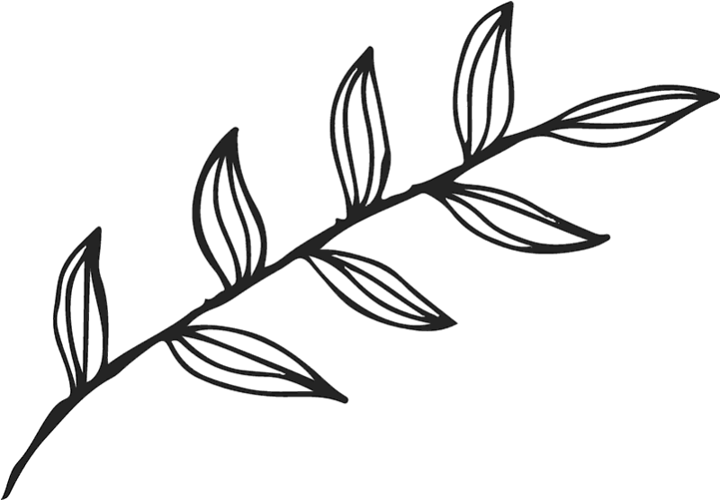 Веточка с листьями вектор