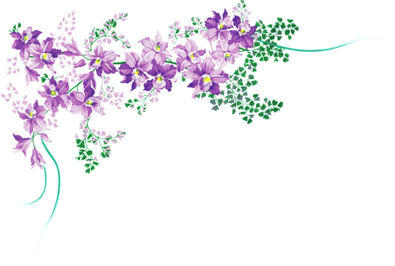 Цветы на прозрачном фоне