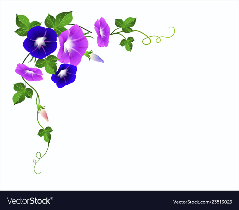 Цветы клипарт