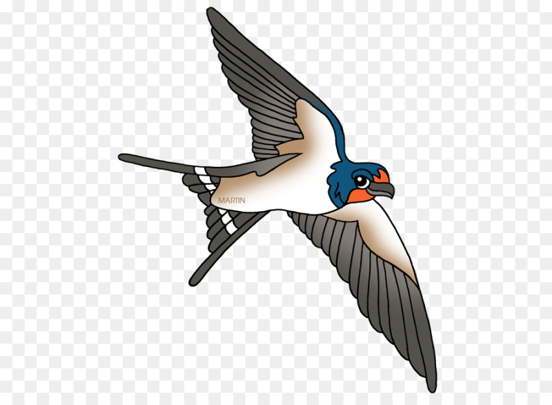 Ласточки мультяшные