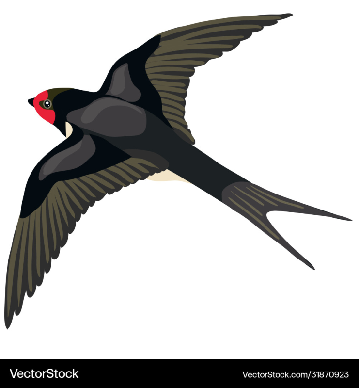 Ласточка рисунок