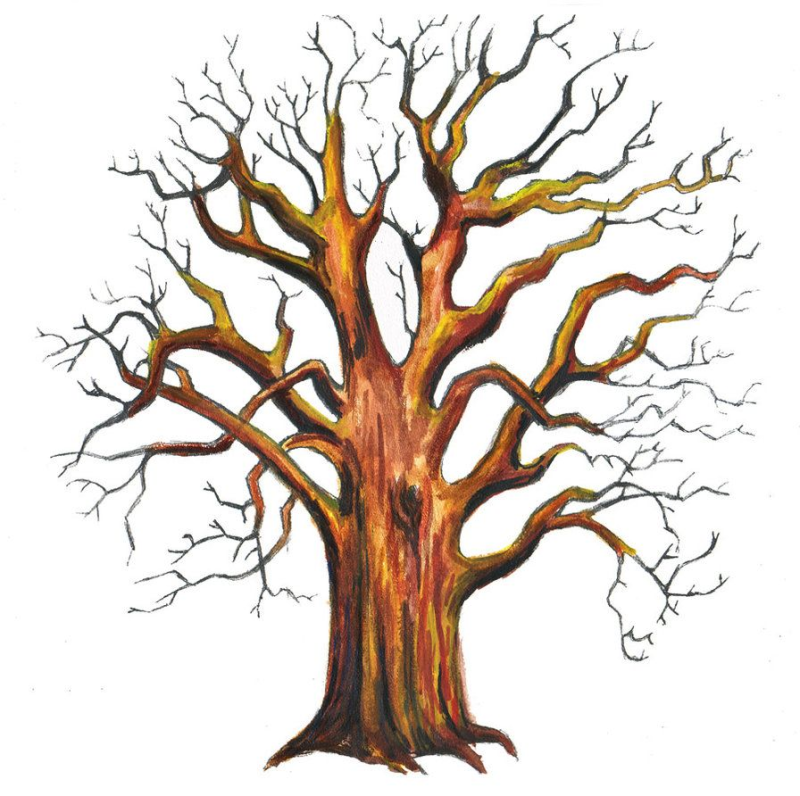 Дерево рисунок