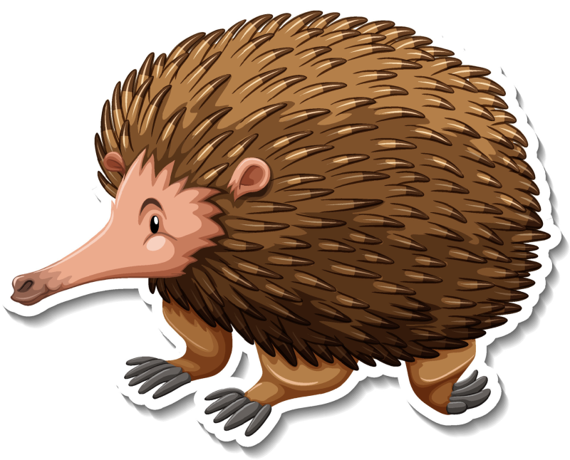 Ехидна рисунок