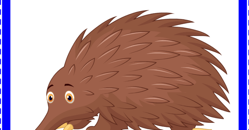 Ехидна для детей