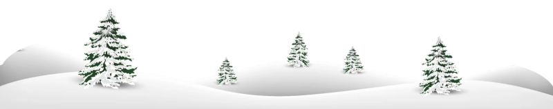 Новогодняя елка в снегу на белом фоне