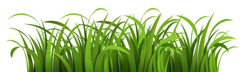 Зеленая трава