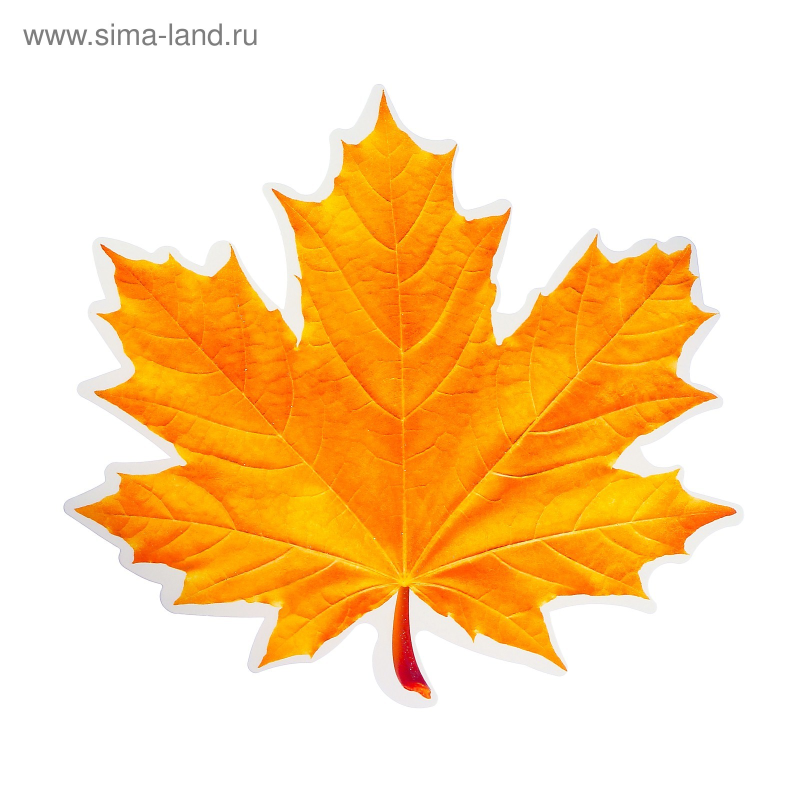 Кленовый лист