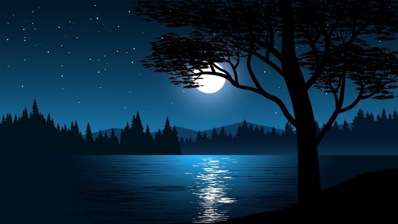 Ночные векторные пейзажи